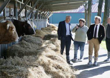 El Gobierno de Cantabria desarrollará una nueva estrategia de mejora genética con Aberekin, una de las empresas de selección ganadera más importantes de España