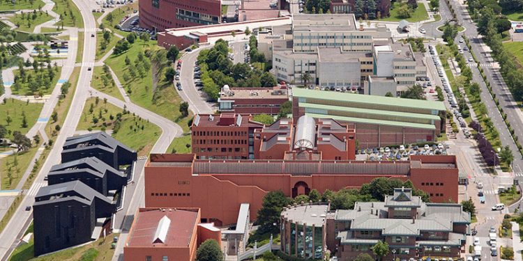 CCOO señala que solo el 28,6% de las personas matriculadas en grados de ciencias e ingeniería de la Universidad de Cantabria son mujeres