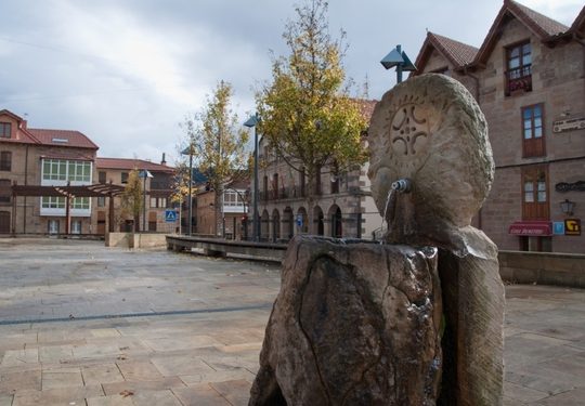 La Consejería de Salud incentivará la plaza de médico permanente de Valderredible