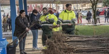 Camargo repartirá el 14 de marzo un total de 2.040 árboles autóctonos dentro de la Campaña de Repoblación Forestal