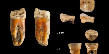 El Instituto de Prehistoria de Cantabria encuentra los restos neandertales más antiguos del norte de la Península Ibérica