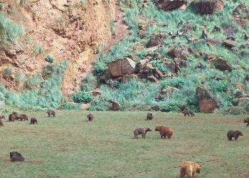 El Tribunal Supremo ratifica las irregularidades en la contratación y los ascensos del personal en Cantur que demanda CCOO