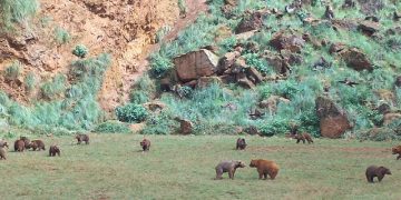 El Tribunal Supremo ratifica las irregularidades en la contratación y los ascensos del personal en Cantur que demanda CCOO