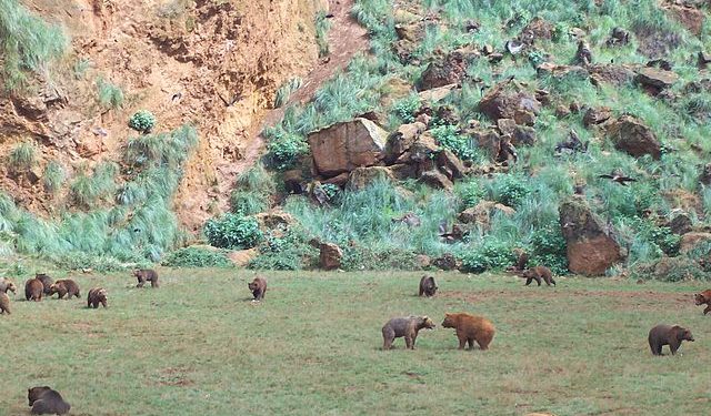 El Tribunal Supremo ratifica las irregularidades en la contratación y los ascensos del personal en Cantur que demanda CCOO
