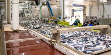 Desarrollo Rural resuelve la convocatoria de ayudas a la transformación y comercialización de productos de la pesca y la acuicultura, con un presupuesto de 3,5 millones de euros