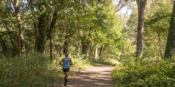 Sale a licitación la redacción del proyecto para la restauración ecológica del Parque de Las Tablas