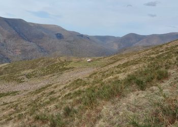 Un bombero forestal fallece cuando trabajaba en la extinción de un incendio en un monte de Cabuérniga