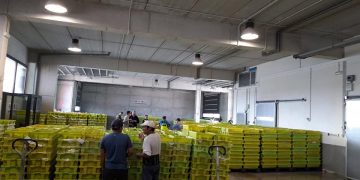 Pesca convoca ayudas por 300.000 euros para que las cofradías de pescadores de Cantabria realicen inversiones en beneficio del sector