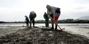 El Gobierno publica la orden que regula la actividad marisquera para esta temporada en Cantabria