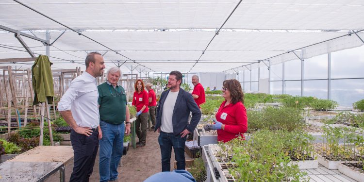 Repartidas más de 15.000 plantas de tomate en Torrelavega