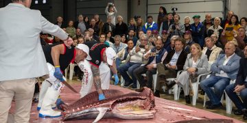 Pablo Palencia destaca la importancia promocionar el consumo de pescado