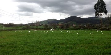 Buruaga anuncia la aprobación inicial del PSIR del polígono industrial de Las Excavadas en Torrelavega