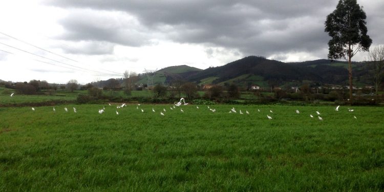 Buruaga anuncia la aprobación inicial del PSIR del polígono industrial de Las Excavadas en Torrelavega