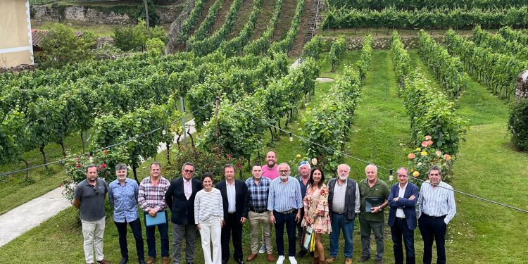 Pablo Palencia preside en la bodega Hortanza de Guriezo una nueva reunión de la Mesa del Vino