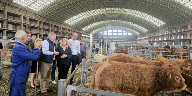 López Estrada se reunirá “próximamente” con la nueva consejera de Desarrollo Local para abordar temas “importantes” para Torrelavega