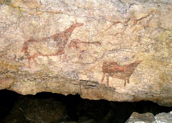 CCOO denuncia la parálisis de la Dirección de la Sociedad Regional de Educación, Cultura y Deporte