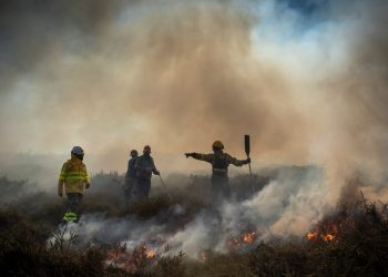 El Plan de Incendios Forestales de Cantabria prevé una inversión de más de 8,4 millones en 2025 para reducir los daños provocados por los incendios forestales