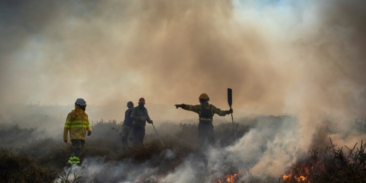 El Plan de Incendios Forestales de Cantabria prevé una inversión de más de 8,4 millones en 2025 para reducir los daños provocados por los incendios forestales