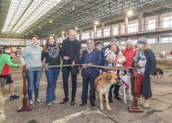 Torrelavega celebra la 7ª Feria de Adopción Responsable en el Mercado Nacional de Ganados