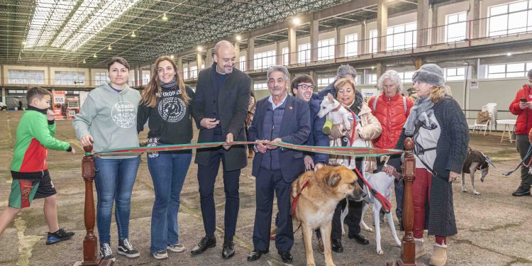 Torrelavega celebra la 7ª Feria de Adopción Responsable en el Mercado Nacional de Ganados