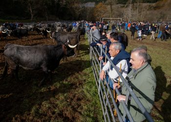 Puentenansa cierra el año ganadero con su tradicional feria anual