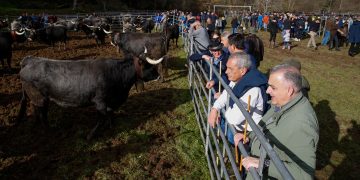 Puentenansa cierra el año ganadero con su tradicional feria anual