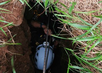 Bomberos rescatan a un perro atrapado en una zanja de 12 metros en Santiurde de Toranzo