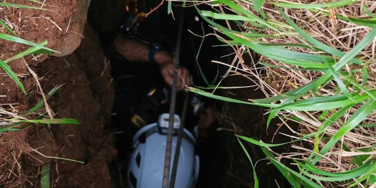 Bomberos rescatan a un perro atrapado en una zanja de 12 metros en Santiurde de Toranzo