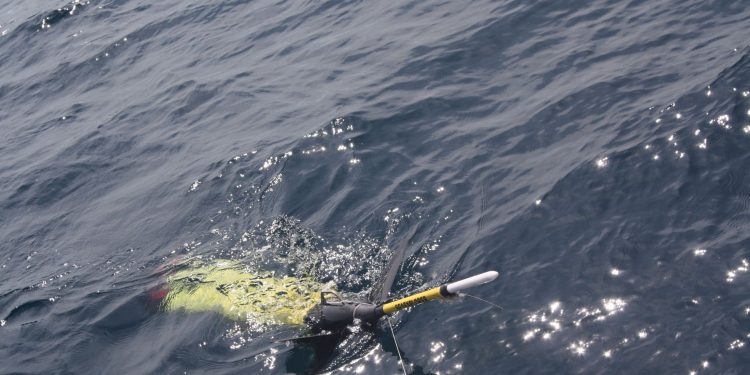 El Centro Oceanográfico de Santander presenta sus nuevos gliders para la observación del Cantábrico