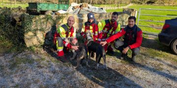 Rescatados dos perros en Luena tras quedar atrapados en una zona de difícil acceso