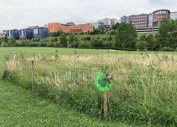Santander Capital Natural alcanzará este mes los 28.000 ejemplares plantados