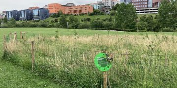 Santander Capital Natural alcanzará este mes los 28.000 ejemplares plantados