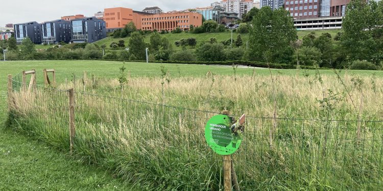 Santander Capital Natural alcanzará este mes los 28.000 ejemplares plantados