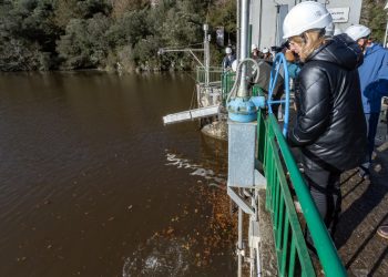 Cantabria avanza en la recuperación del salmón atlántico con un programa de repoblación exitoso