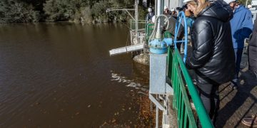 Cantabria avanza en la recuperación del salmón atlántico con un programa de repoblación exitoso