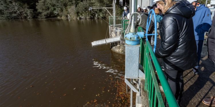 Cantabria avanza en la recuperación del salmón atlántico con un programa de repoblación exitoso
