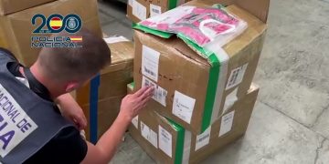 Desmantelada una red internacional de falsificación con ramificaciones en Cantabria, tras introducir casi 2.000 toneladas de productos falsificados en Europa