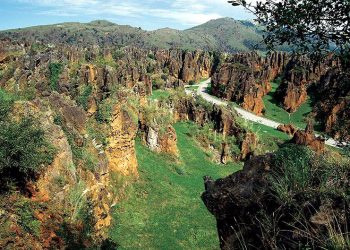Cabárceno donará parte de su recaudación a la Cocina Económica de Santander