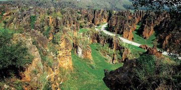 Cabárceno donará parte de su recaudación a la Cocina Económica de Santander