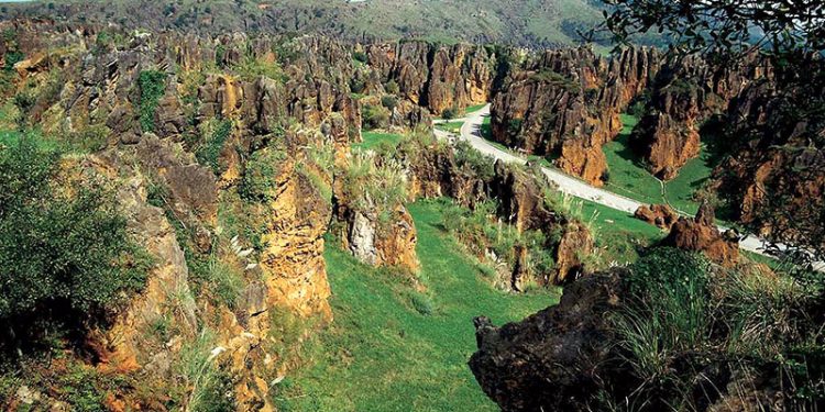 Cabárceno donará parte de su recaudación a la Cocina Económica de Santander