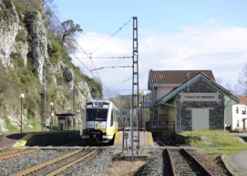 Interrumpida la circulación ferroviaria entre San Pedro de Rudagüera y Casar de Periedo por la caída de un árbol