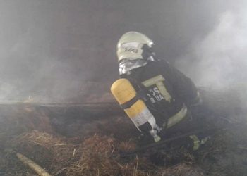Un incendio en Cabuérniga causa la muerte de tres vacas y afecta a una estabulación ganadera