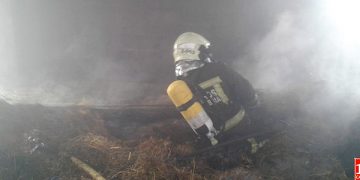 Un incendio en Cabuérniga causa la muerte de tres vacas y afecta a una estabulación ganadera
