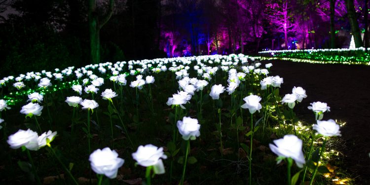 Cartes congrega más de 100.000 visitantes en navidad