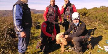 Bomberos rescatan a un perro atrapado en una torca de 20 metros en Santiurde de Toranzo