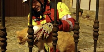 Bomberos rescatan a un gato atrapado en un alero en Liérganes