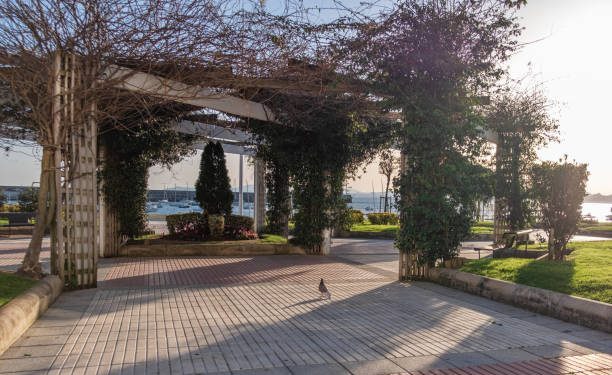 Cantabria afronta un descenso generalizado de temperaturas y heladas en el interior