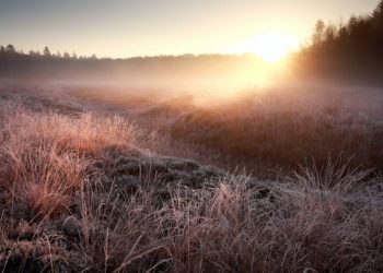 Cubillo de Ebro registra -10,5 grados y marca la octava temperatura más baja de España