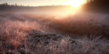 Cubillo de Ebro registra -10,5 grados y marca la octava temperatura más baja de España
