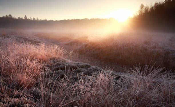 Cubillo de Ebro registra -10,5 grados y marca la octava temperatura más baja de España